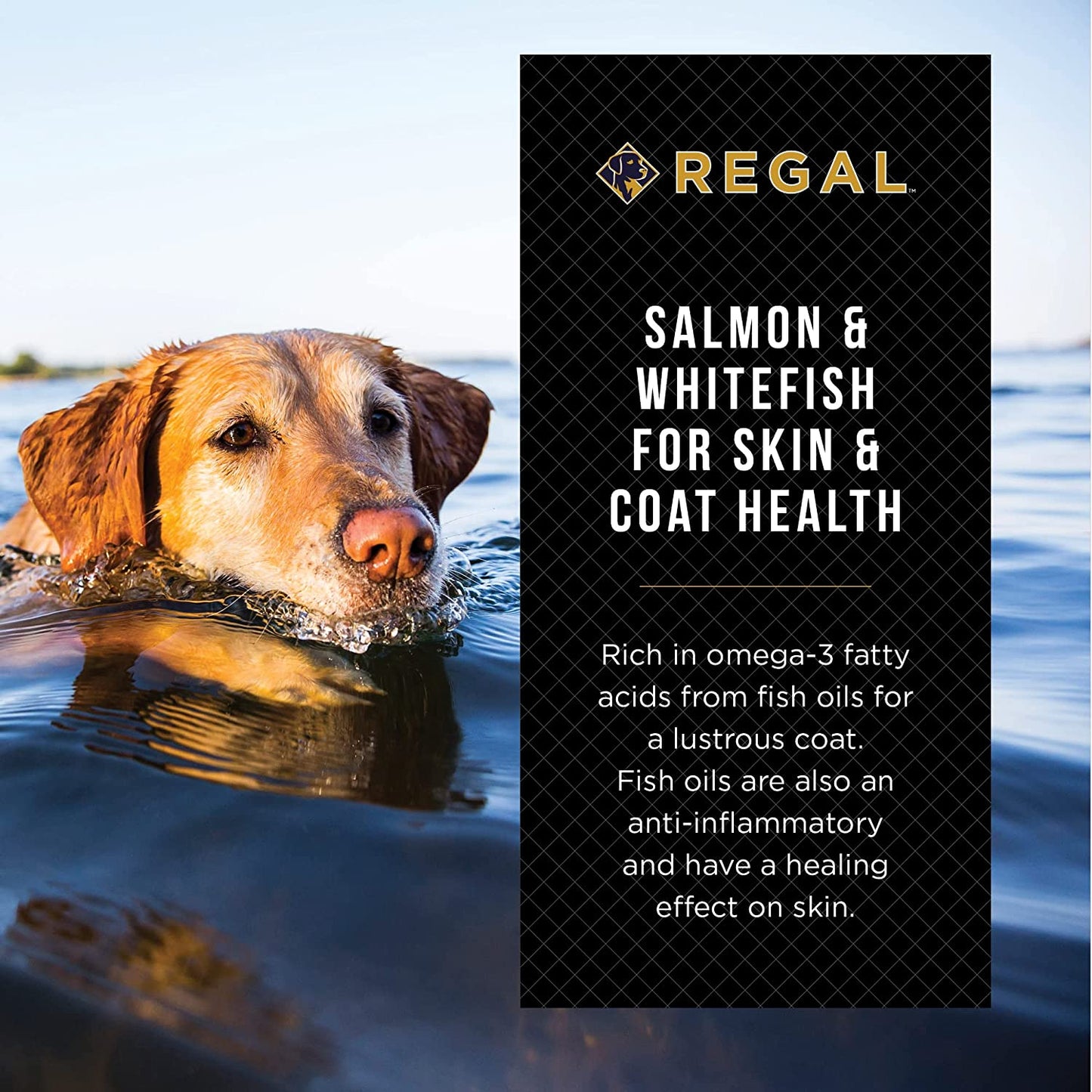 
                  
                    Regal Ocean (Salmon) Recipe
                  
                