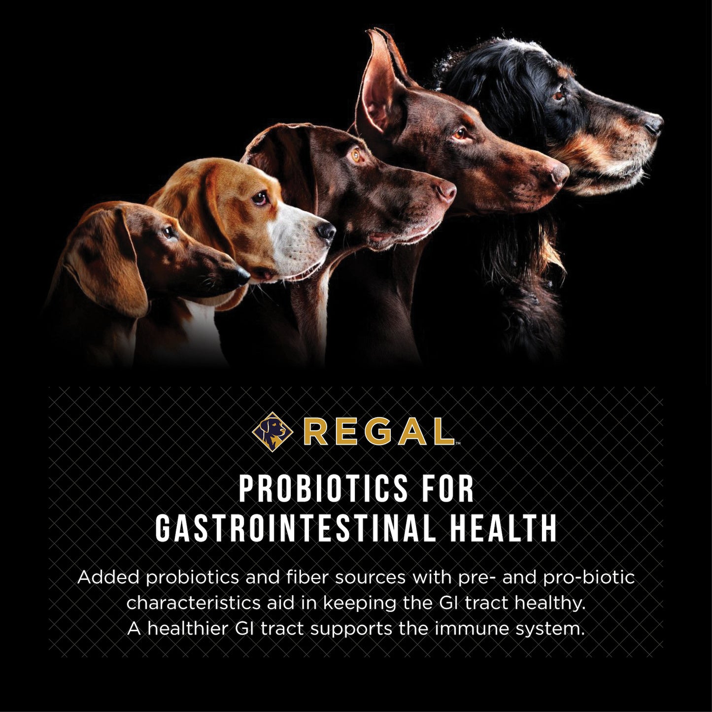 
                  
                    Regal Grain Free Country Classics (Chicken) Recipe
                  
                