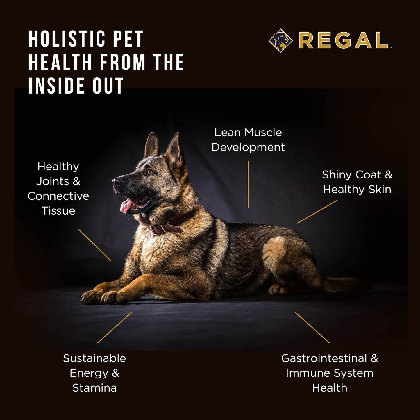 
                  
                    Regal Large Breed Recipe
                  
                